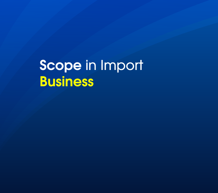 Scope in Import\nBusiness